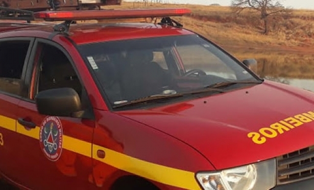 Pinscher e tamanduá são resgatados pelo Corpo de Bombeiros